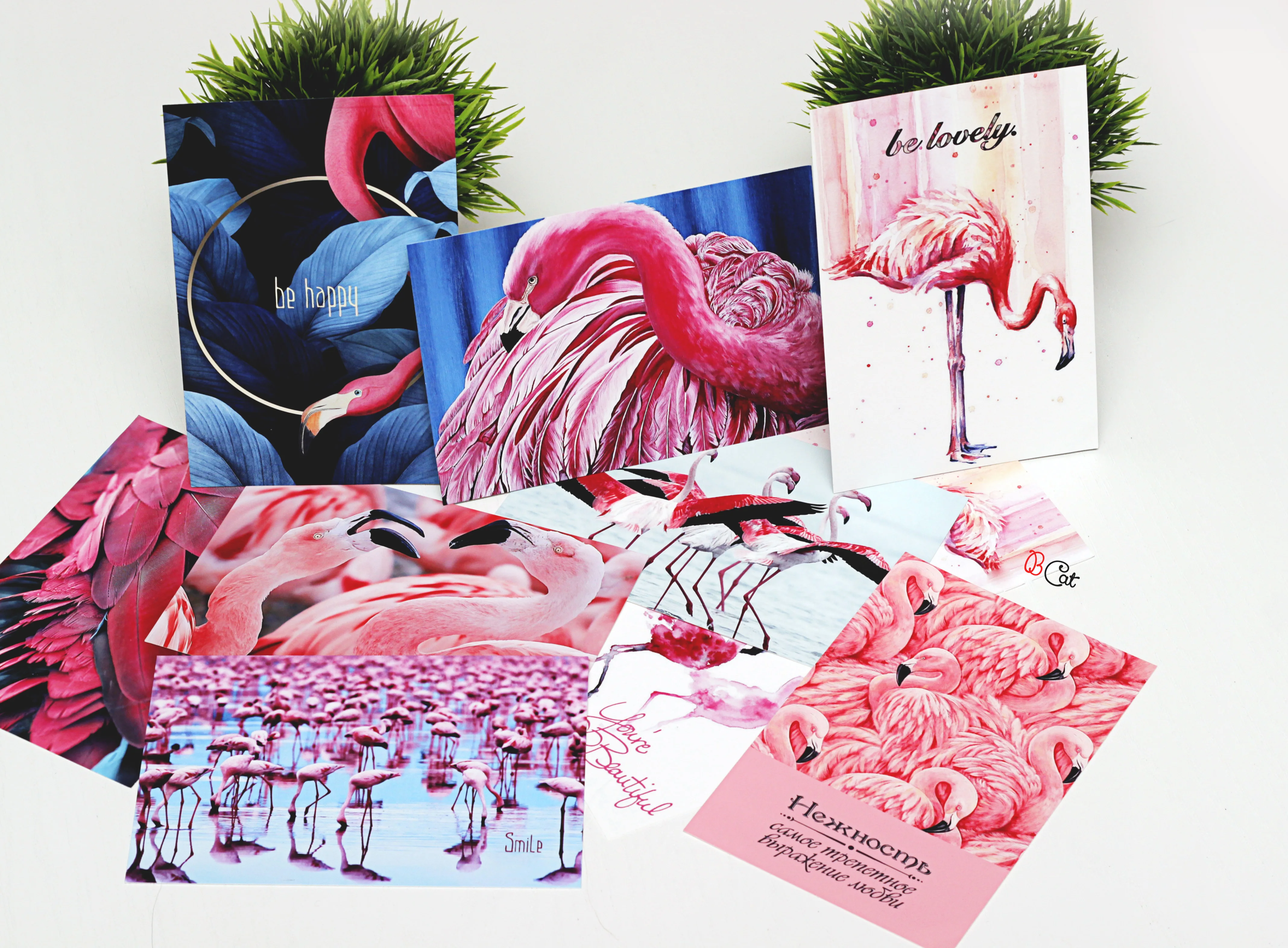 Карты фламинго. Фламинго открытка. Дизайнерские открытки вхламинго. Ассоциативные карты Фламинго. Дисконтная карта Фламинго.