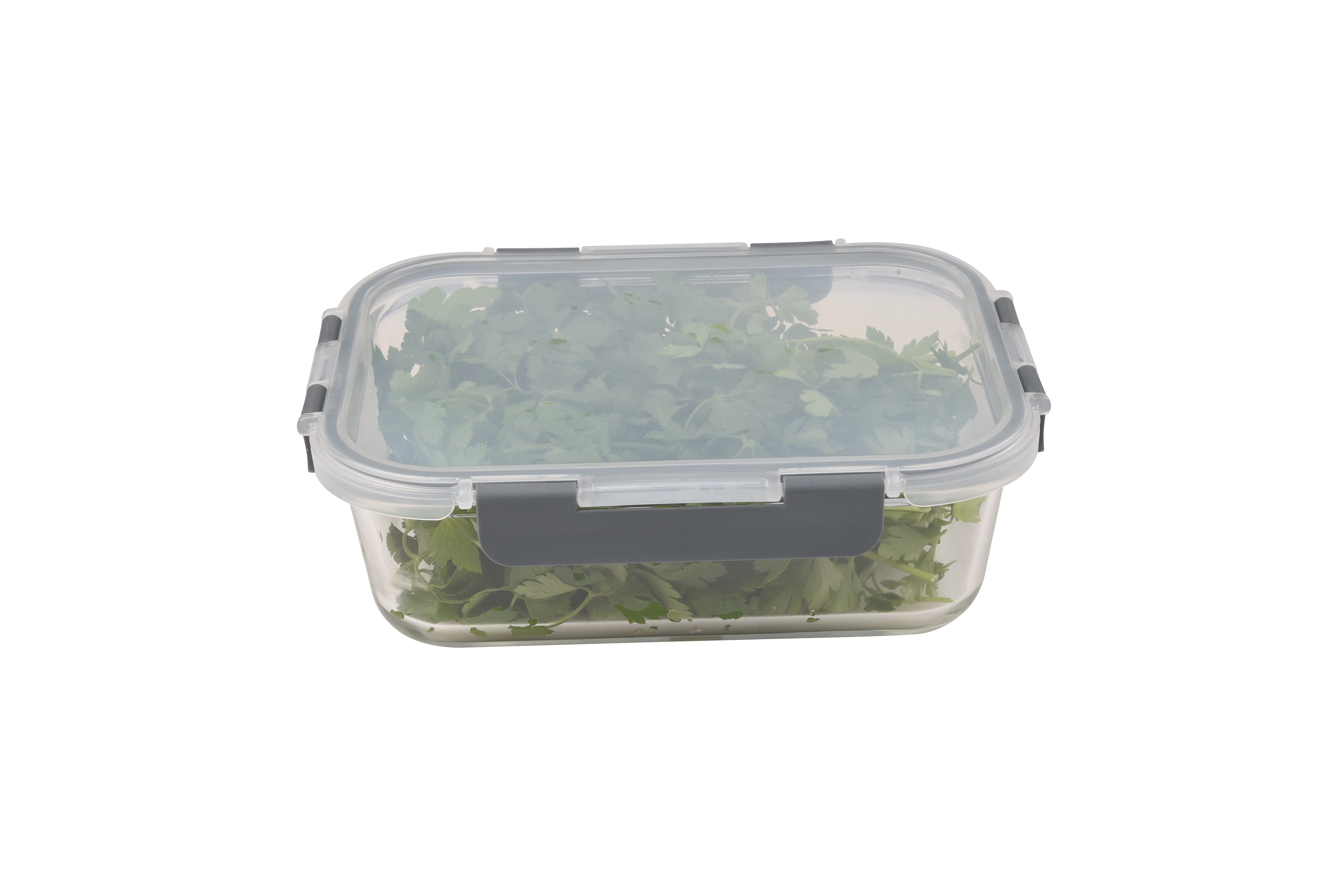 

Borosilicate Glass Storage Container 1500 Ml Convenience Slicer Accessory Quality Sturdy Crusher Vegetable Grater Reliable Conve