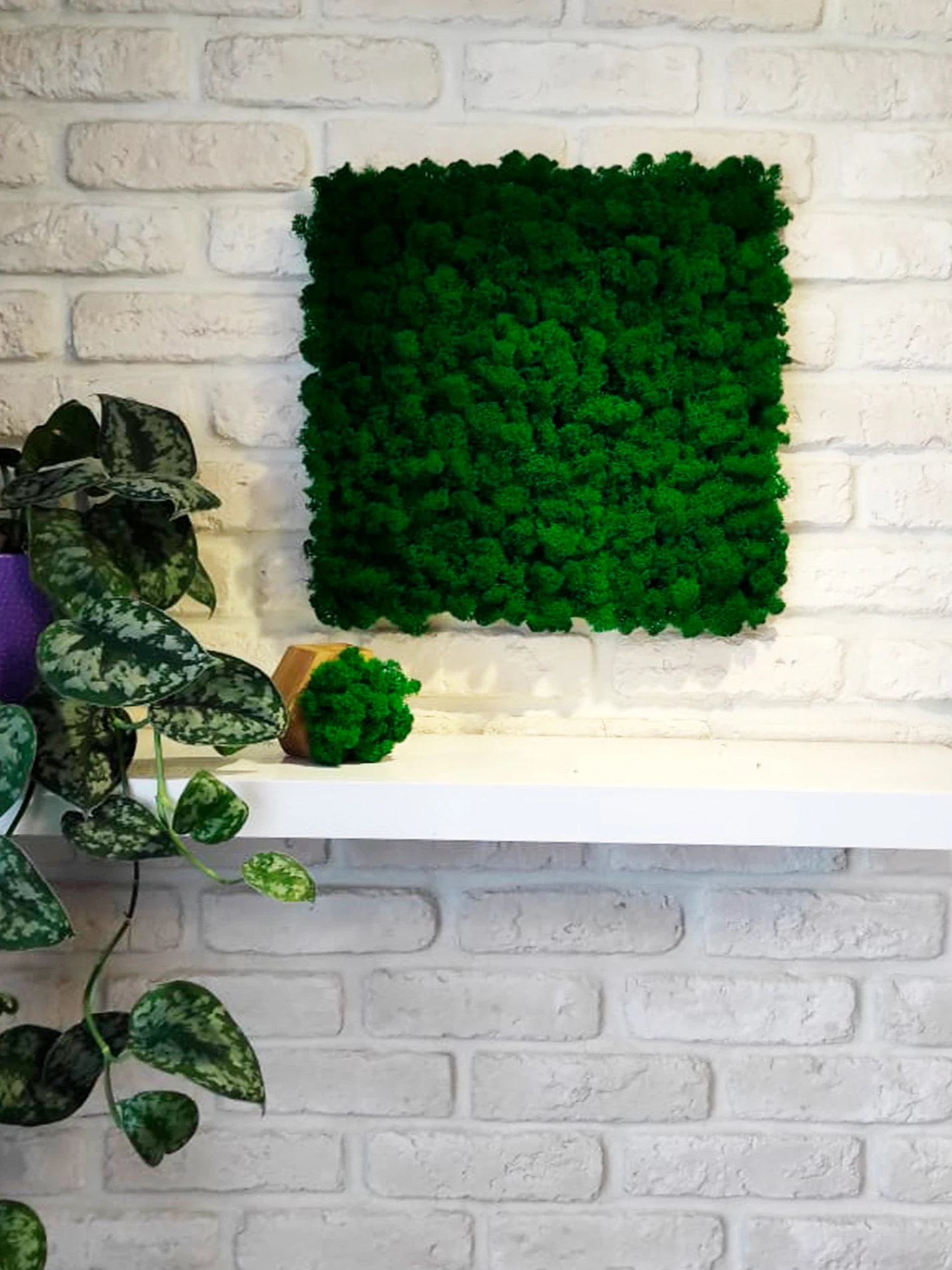 Панель из стабилизированного мха 30*30см декор интерьера настенное украшение -