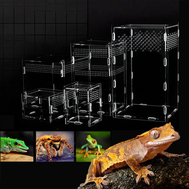 

15 Size Reptile Breeding Box Acrylic Transparent Insect Breathable Terrarium Spider Lizard Scorpion Enti's Acrylic Assembled