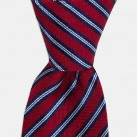 

Navy blue Stripe Red Silk Tie 67828186