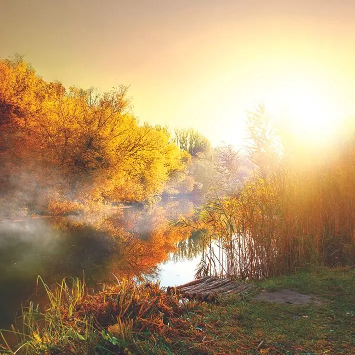 Занавеска для душа Туман над рекой деревья в лесу Осенняя природа Восход