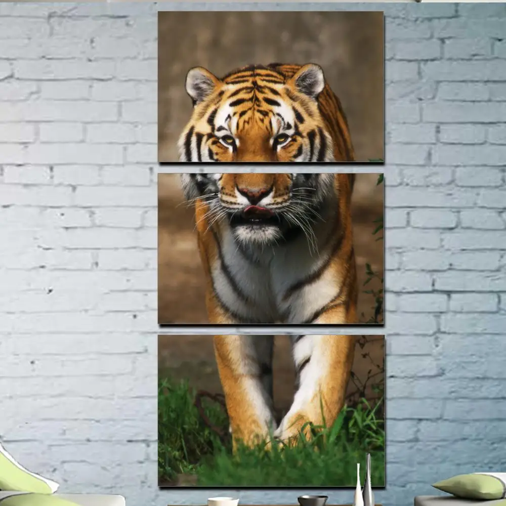 Модульная картина 3 модуля Тигр на прогулке. Для дома. вертикальные картины в