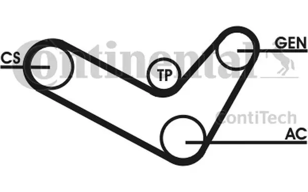 CONTITECH v ребристый ремень Набор для AUDI A3 VOLKSWAGEN GOLF PASSAT JETTA TOURAN SEAT LEON ALTEA| |