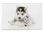 Фотоальбом, альбом для фотографий 10х15, 36 фото, собака и кот