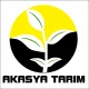 

SOAN TOHUMU - BEREKET 5 GR