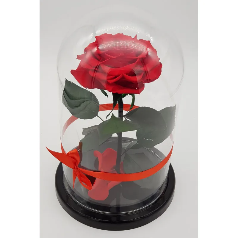 Купить Розу В Колбе В Великом Новгороде