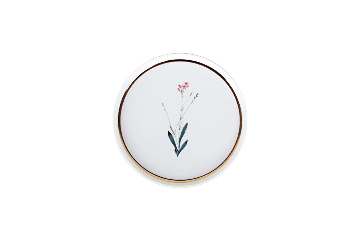 

Botanical 18 cm Sweet Dessert plate Single