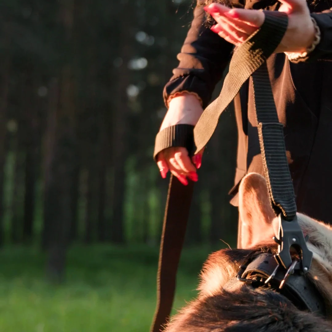 Professional leash for Dogs series &quotA" with carabiner-self-gripper | Дом и сад