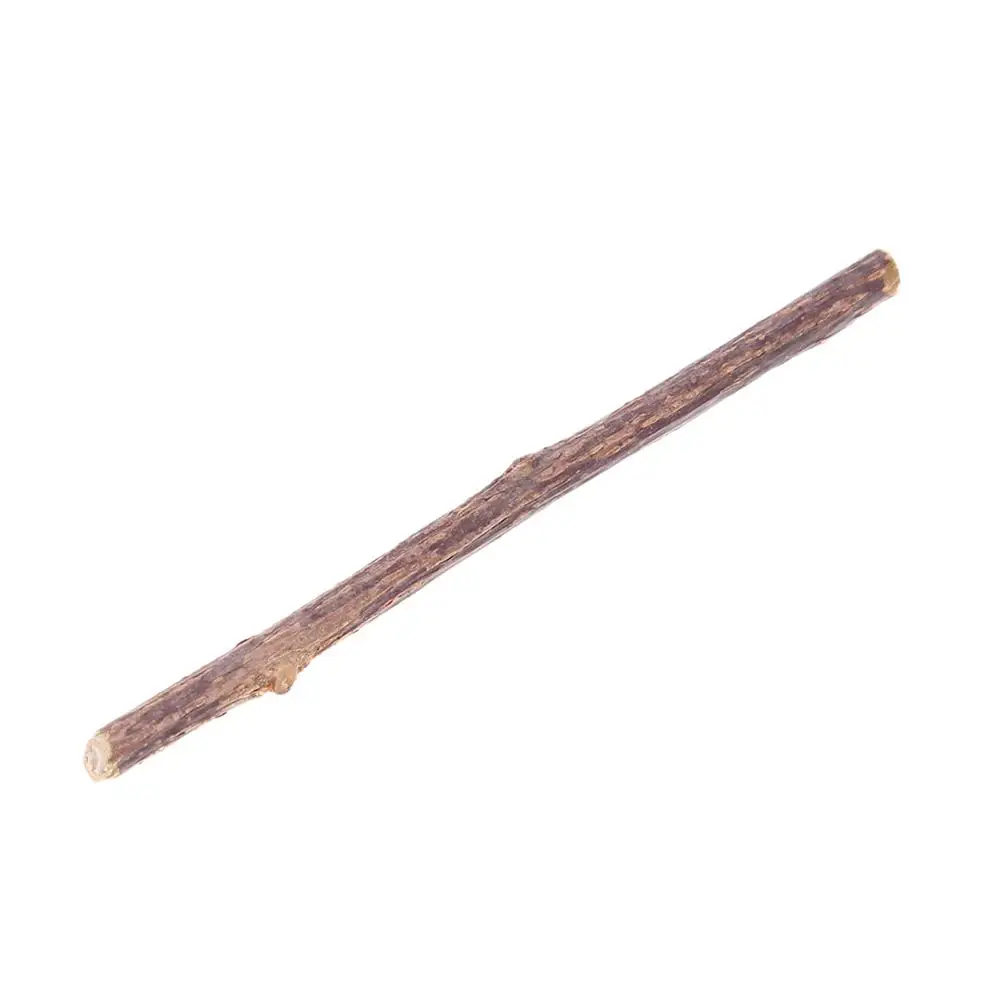 

15&20pcs Natural Catnip Pet Cat Molar Toothpaste Stick Matatabi Actinidia Fruit Silvervine Cat Snacks Sticks Pet Cleaning Teeth