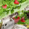 Изображение товара 3