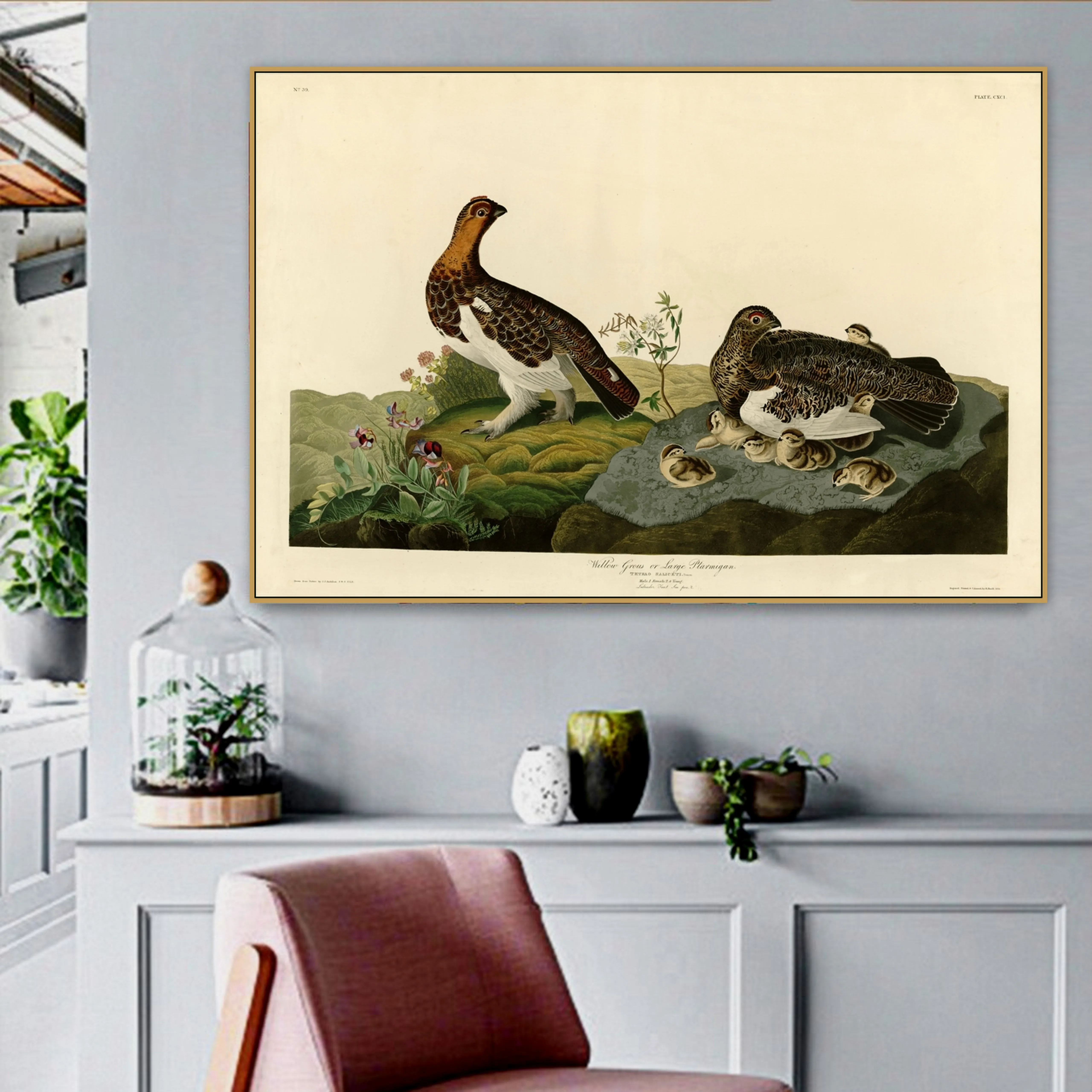 Джон Джей. Audubon старый знаменитый мастер американский художник ива Grous брезент