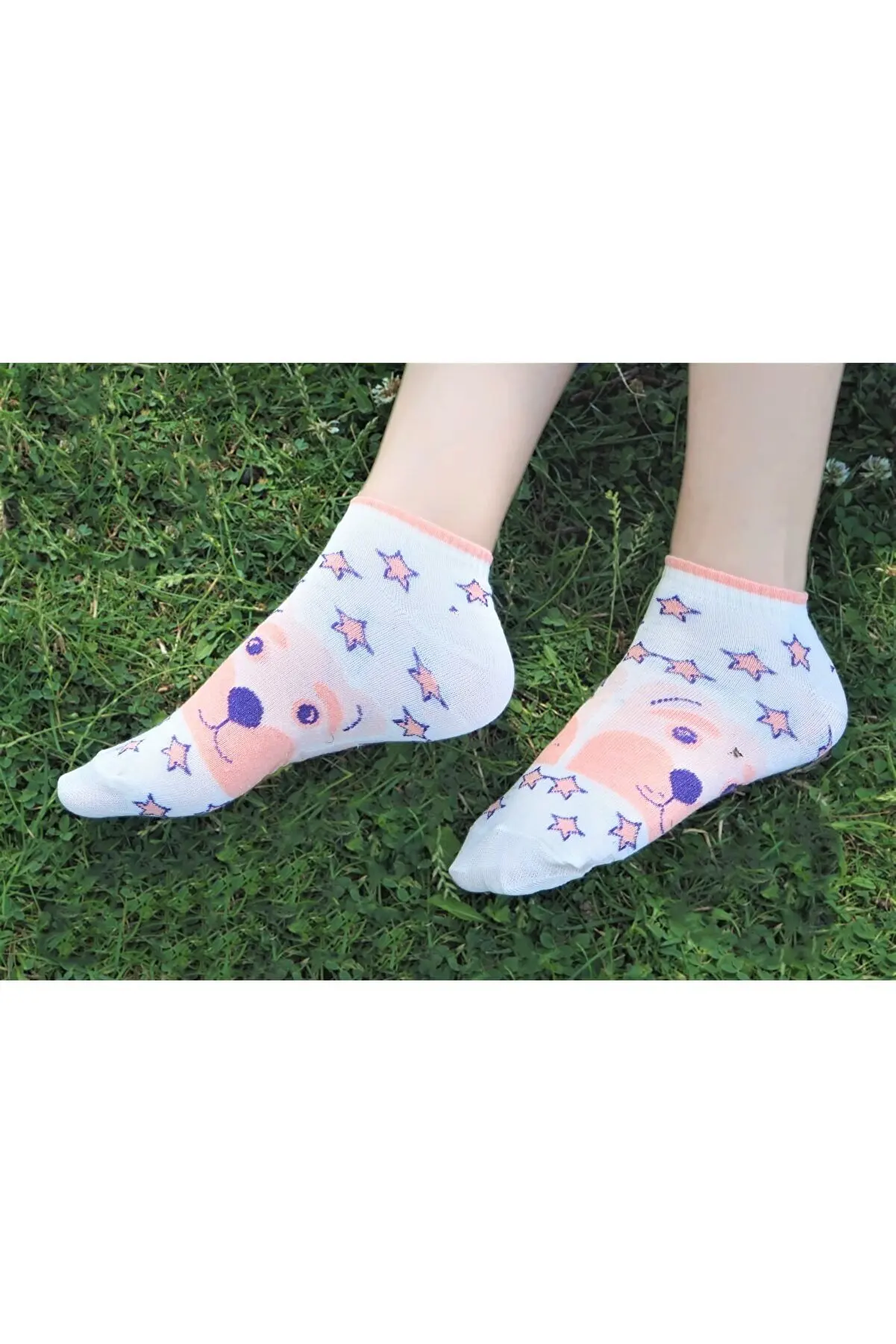 Women's 4 Pack Mixed Colored Dog Booties Socks