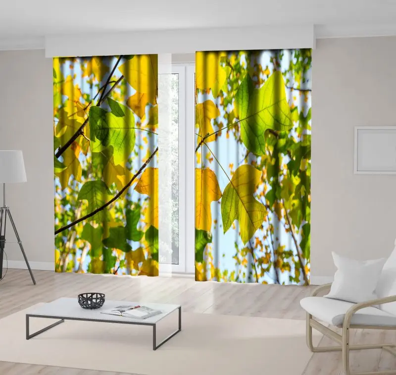 

Curtain Colorful Autumn Leaves Tree Branch Forest in Sunny Day Outdoor Nature Photo Yellow Green Blue