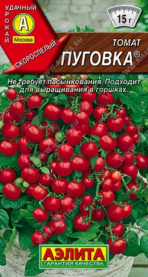Томат Пуговка (1 упаковка семян) для домашнего выращивания сладкие помидорки