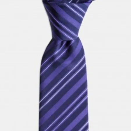 

Purple And Dark Blue Stripe Silk Tie 67825323