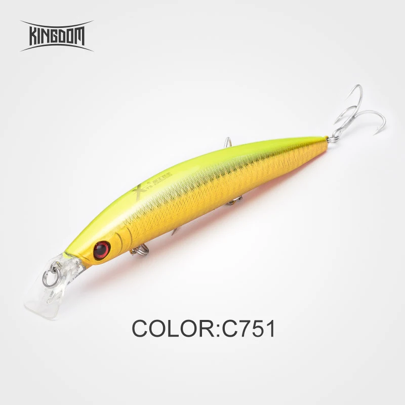 C751 Королевство рыболовные приманки Minnow для соленой воды, моря воблеры Jertbait искусственная, жесткая, для рыбалки приманки 125 мм 23 г подойдут для морского окуня малогабаритная управляемая модель 5354 - Цвет: C751