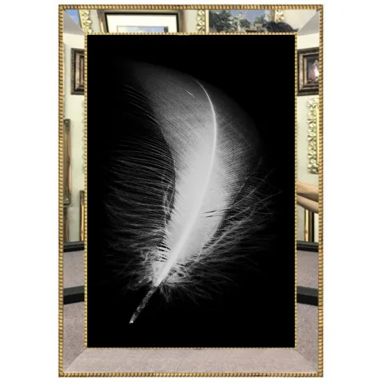 

Luxury Mirror Framed Digital Glass Canvas Painting 45 * 60 cm