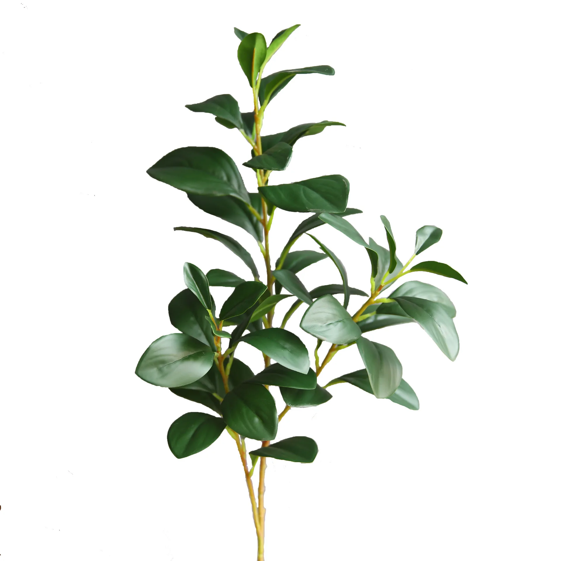 

Искусственные эвкалипты