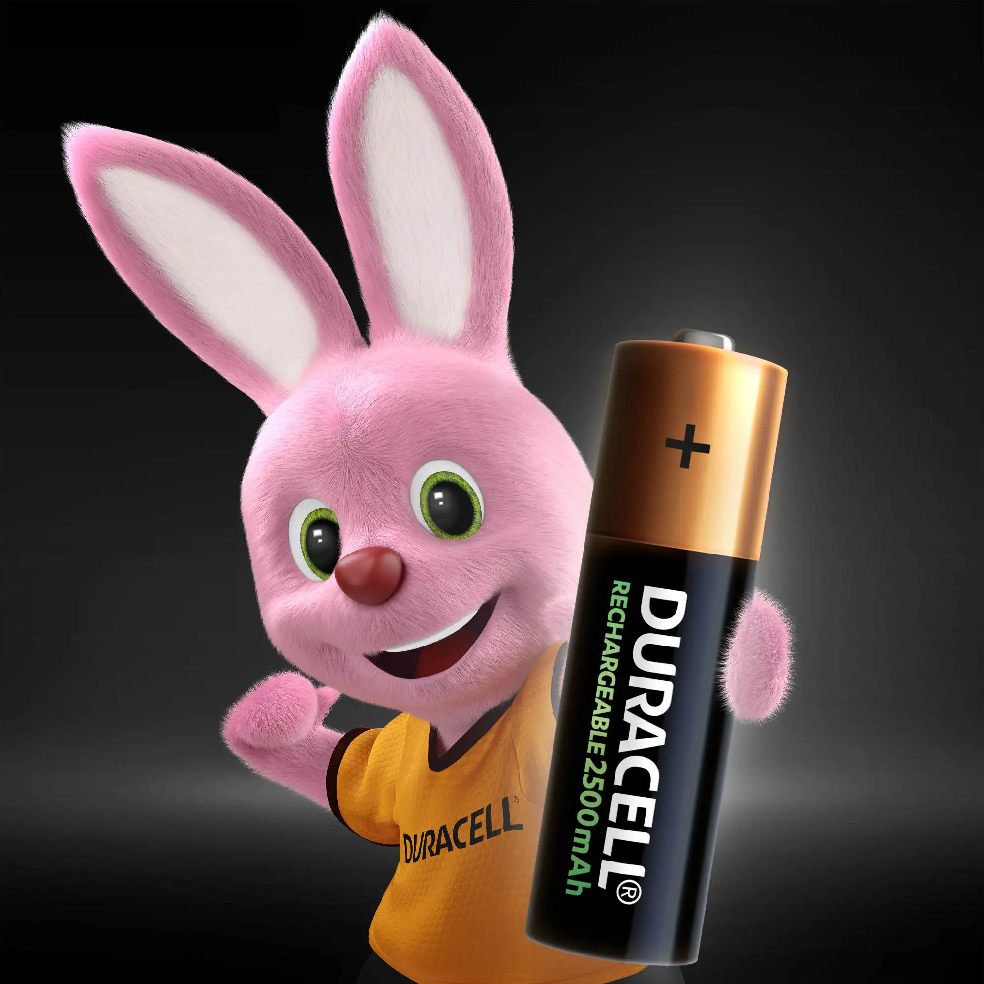 DURACELL Аккумуляторы никель_металлгидридные AA HR6 2400mAh 4шт. |