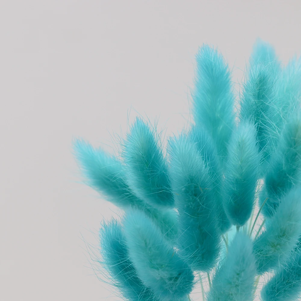 60 шт./пакет настоящие цветы для украшения дома компоновка хвост кролика трава