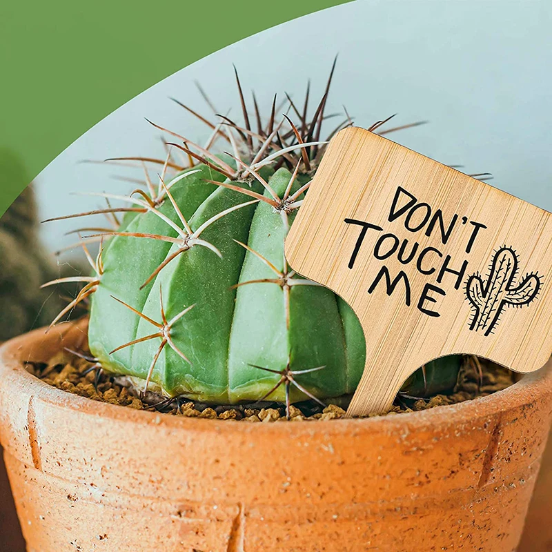 

100PCS T-shape Plant Markers Garden Bonsai Succulent Seedings Tags Waterproof wood Insert Sign Gardening Labels Stake