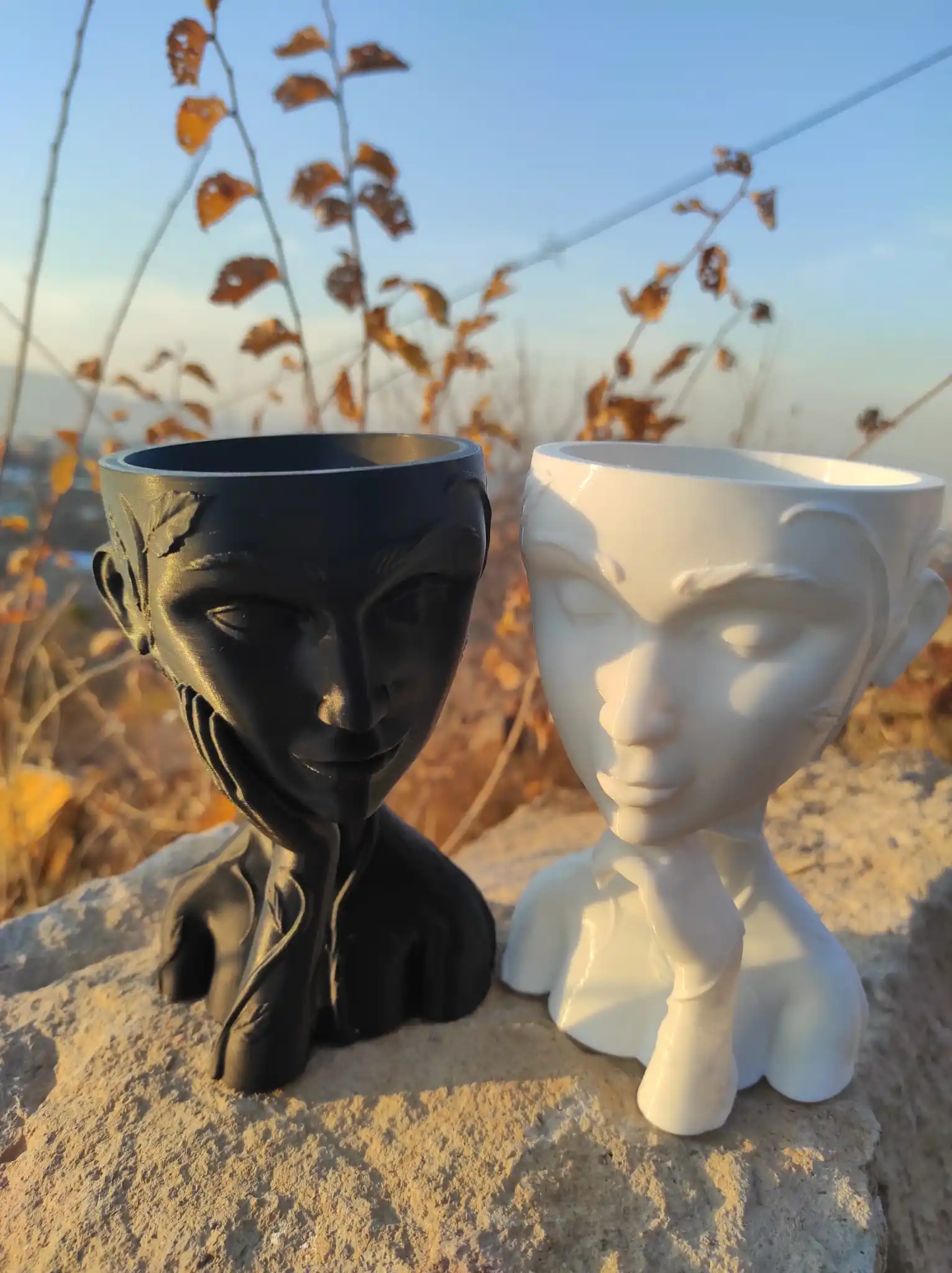 

Venüs&Aphrodite Saksılar,Kaktüs ve Çiçek sevenler,Organik Plastik ve Geri Dönüştürülebilir Malzeme,15*15*15 cm,2 are sold