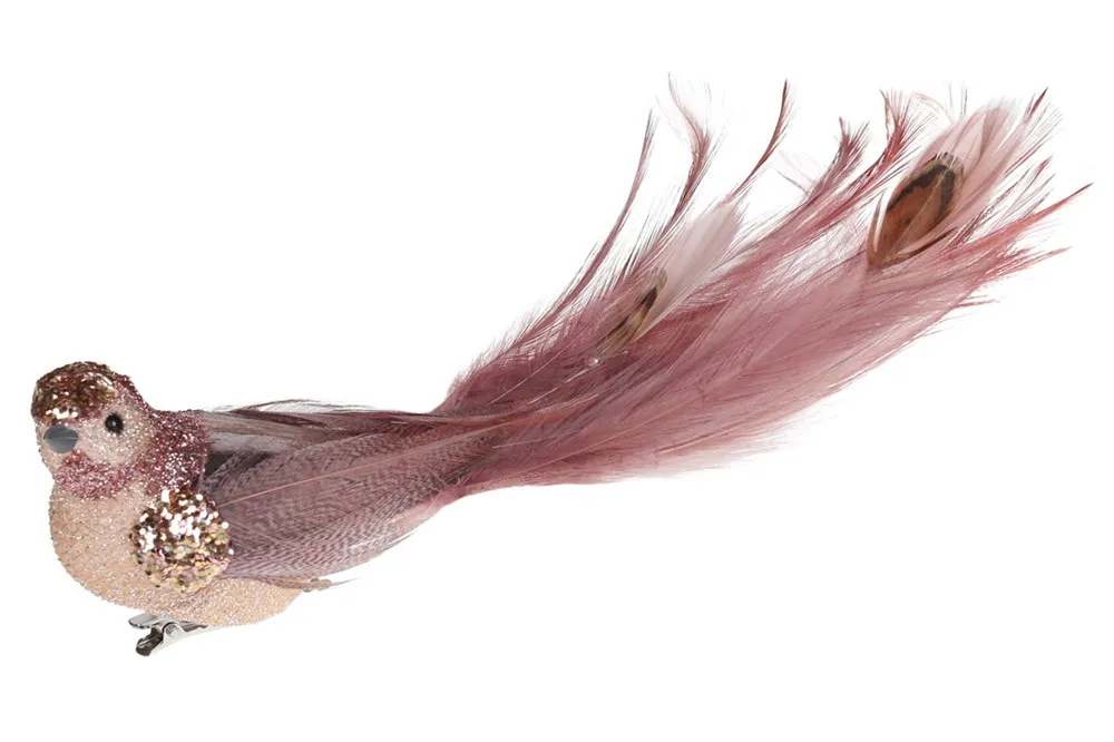 Продажа Птица Декоративное