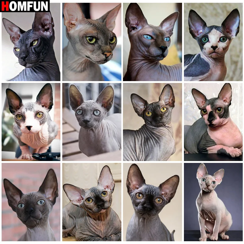 

Алмазная 5D живопись HOMFUN «кошка», картина с полными квадратными/круглыми стразами, для домашнего декора, вышивка крестиком «сделай сам»