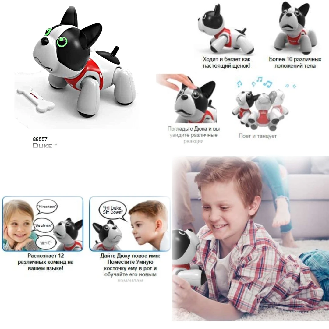Собака робот Дюк интерактивный друг|Радиоуправляемые роботы| |