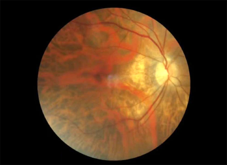 Дешевая Портативная портативная фотокамера NFC по низкой цене из Китая|Запчасти и