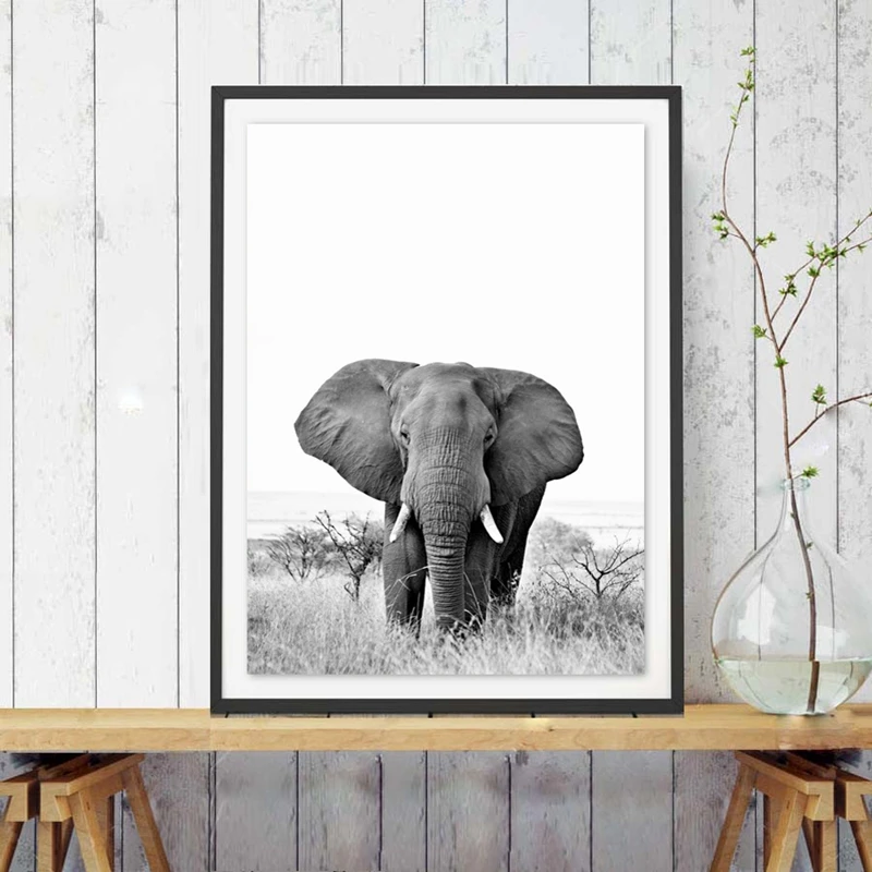 Фотопостер с изображением слона черно белого цвета Современная фотография