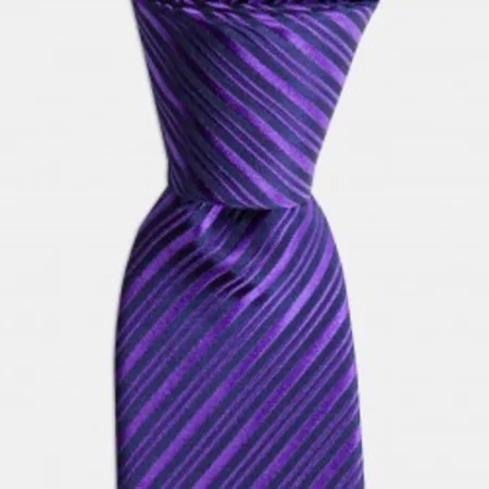 

Navy blue and purple striped silk tie 67825646