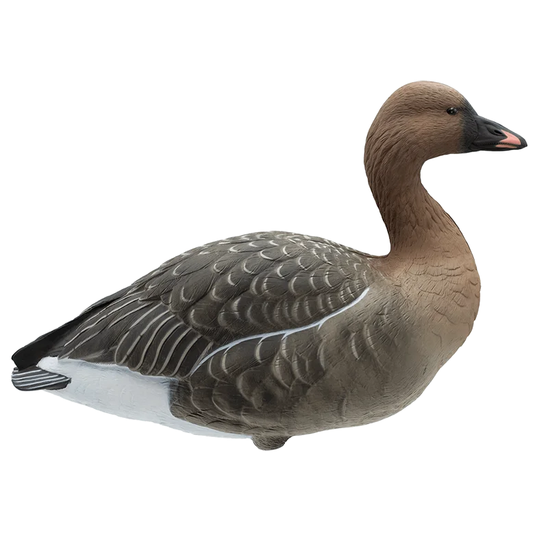 Аквазон. Гуси чучела аквазон. Гуси чучела аквазон. Чучела гусей нордвей софтпласт. Ру.