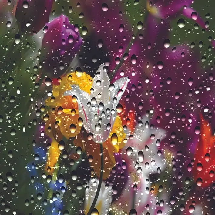 Занавески для душа цветные цветы сад тюльпаны через капли воды покрытые стеклом