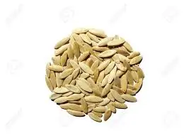 20 шт. органический деревенский огурец Бесплатная доставка|Детские горшки| |