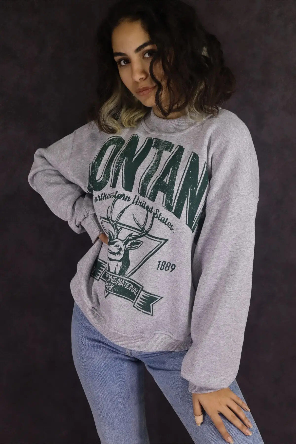 

WOMEN GRAY MONTANA PRINTED SWEATSHIRT COMFORTABLE DAILY USE SPORTS ONE MODEL NEW SEASON A PRODUCT SUITABLE FOR EVERY COMBINATIO