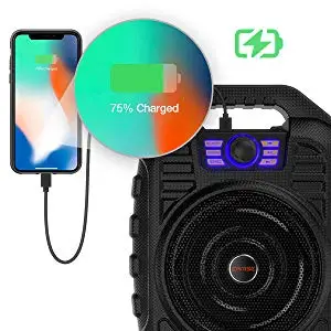 EARISE T26 портативная PA система Bluetooth динамик и беспроводной микрофон для караоке