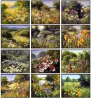 Наборы для вышивки крестом, Полевые цветы, 14 ct