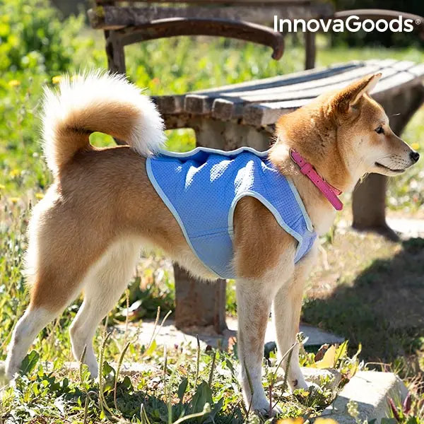 Освежающий жилет для домашних животных InnovaGoods маленьких | Дом и сад