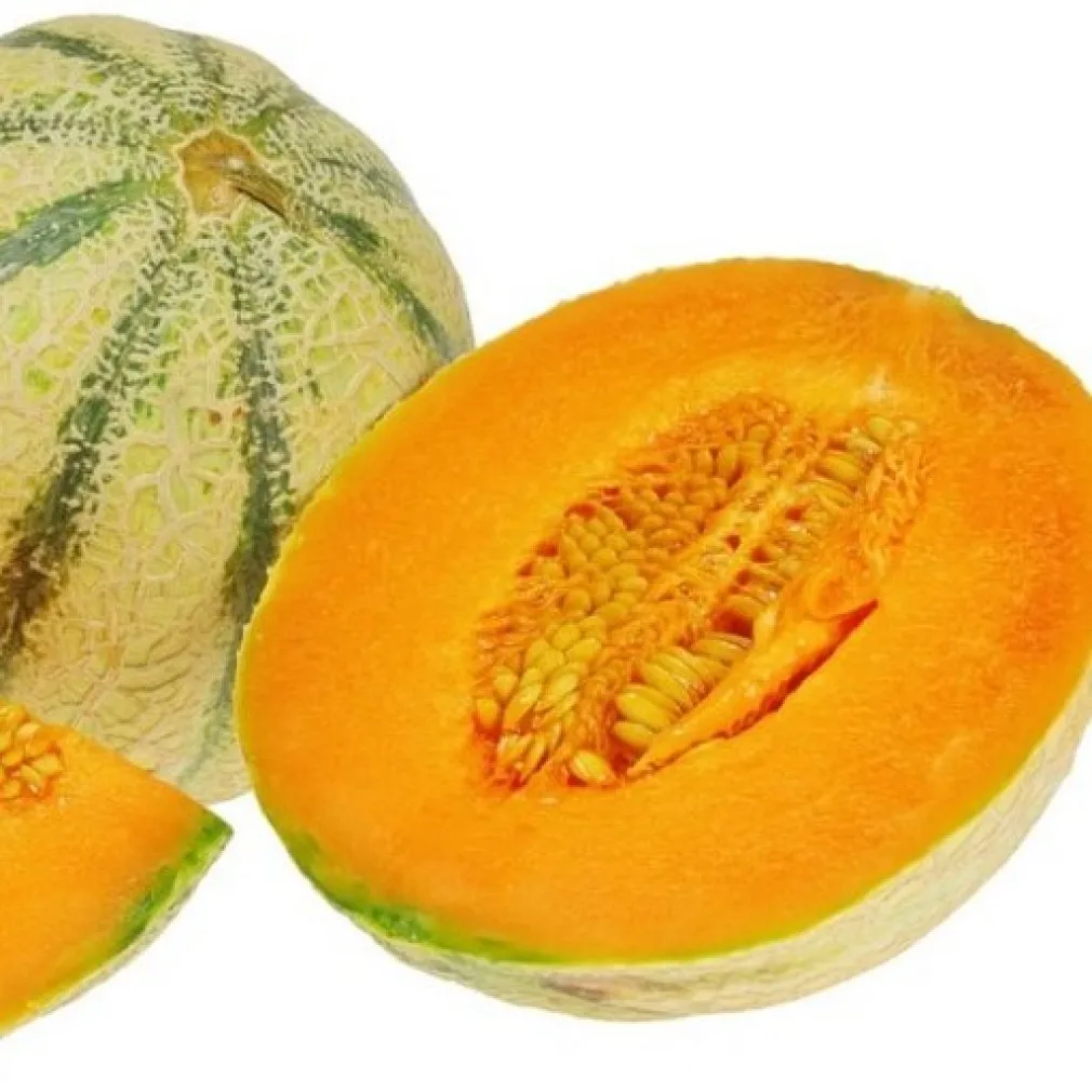 Дыня орех. Семена дыни шаранте. Дыня воллер f1. Семена дыни шаранте. Дыня honeydew.