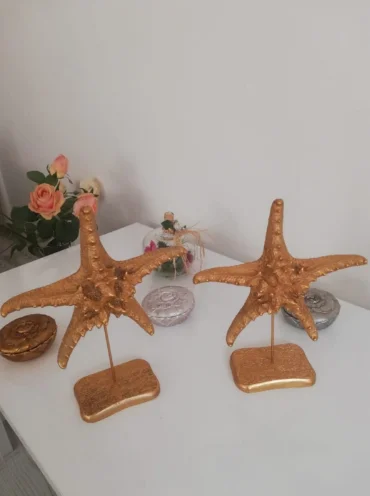 

Premium Decorative Object Thorny Sea Star 2