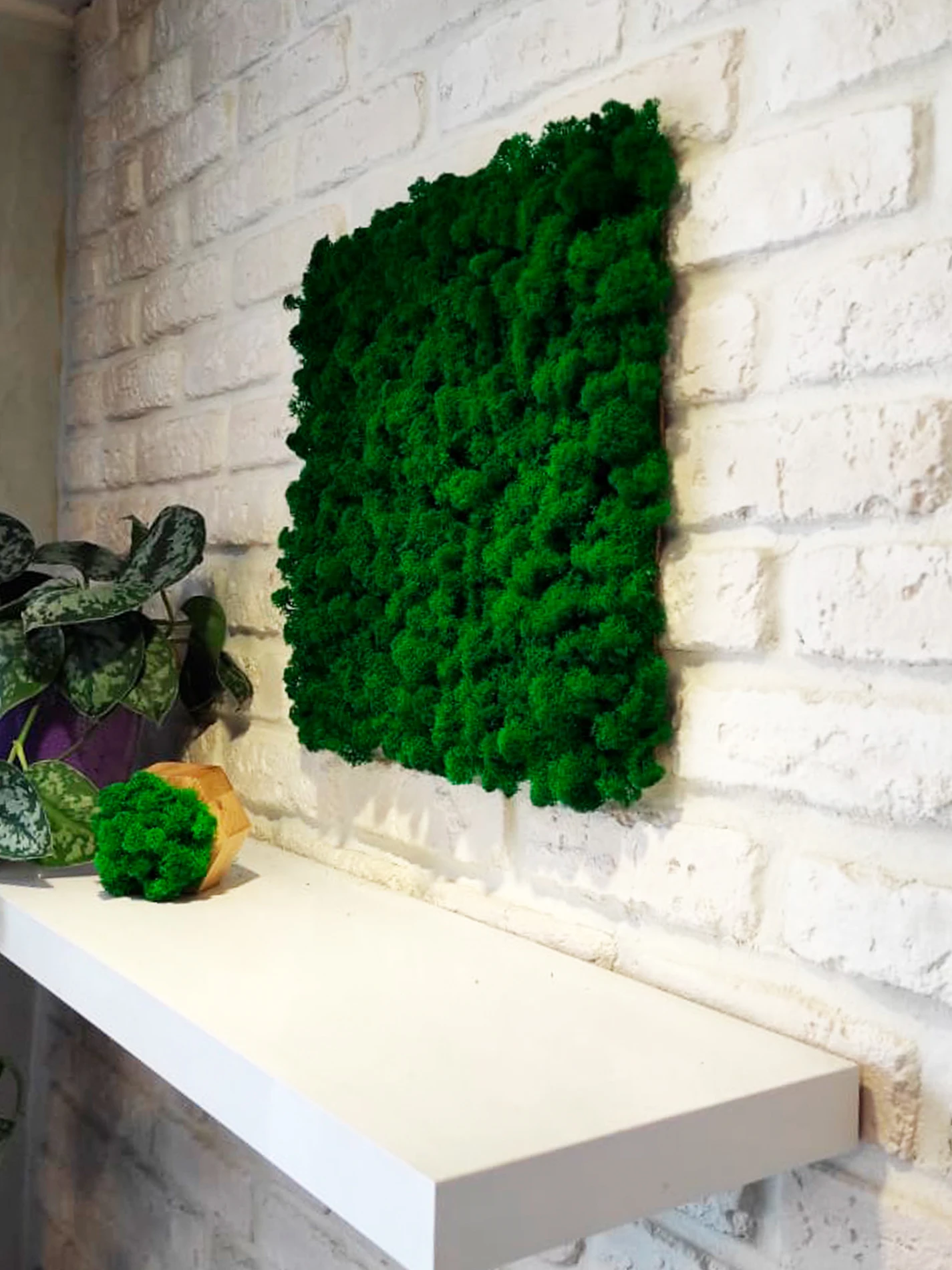 Панель из стабилизированного мха 30*30см декор интерьера настенное украшение -