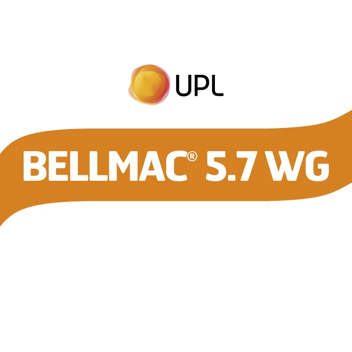 

BELLMAC 5.7 WG 250 Gr.