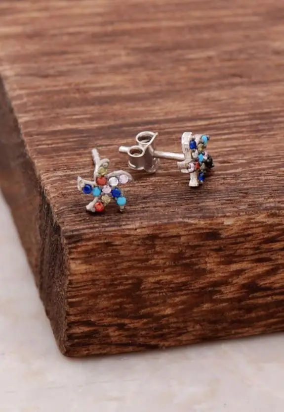 

Wind Rose Design Mix Sterling Silver Earrings