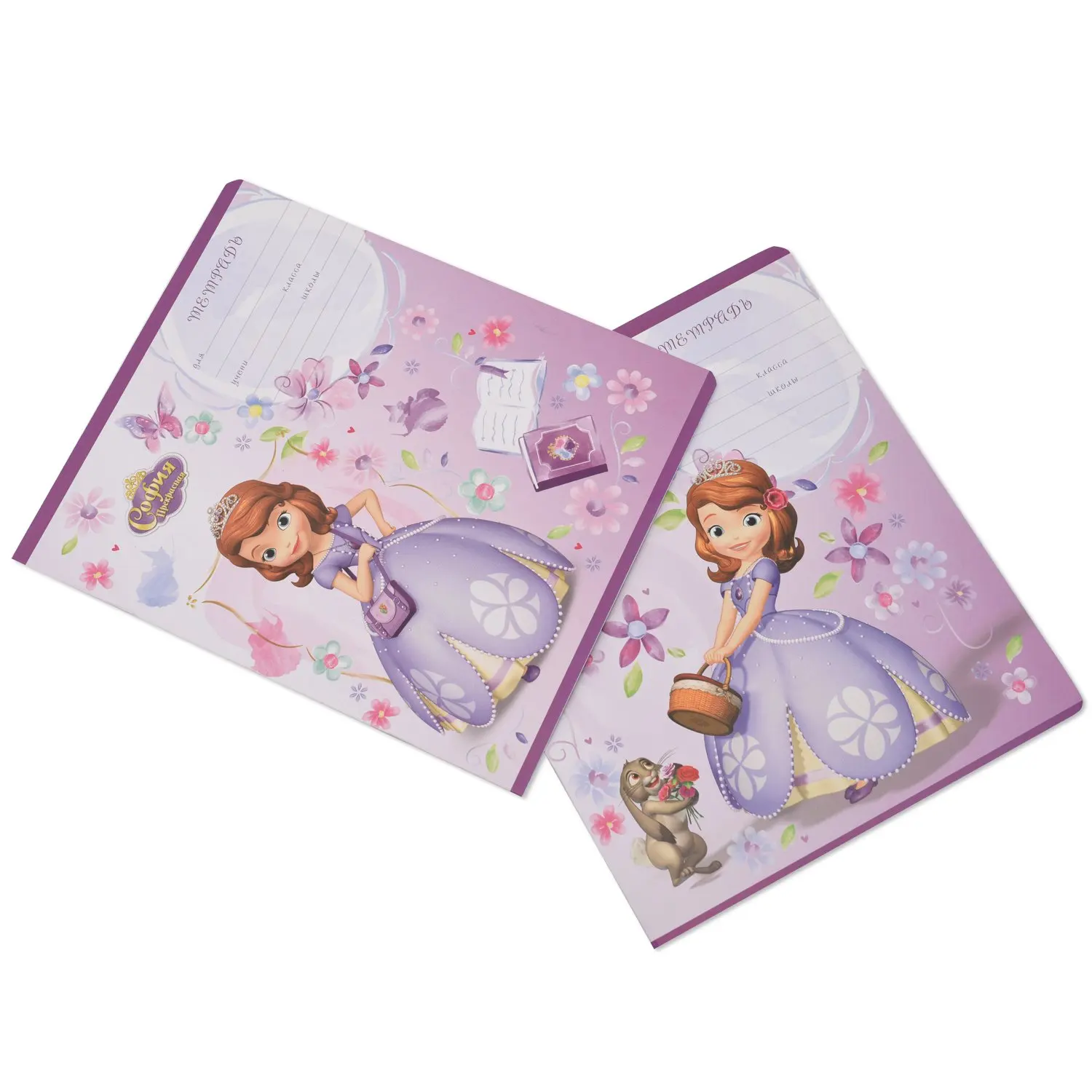 Тетрадь Disney in flowers линейка 12л в ассортименте|Записные книжки| |