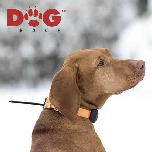GPS локатор для собак Dogtrace X30 достигает 20 км приложение телефона и ручки в