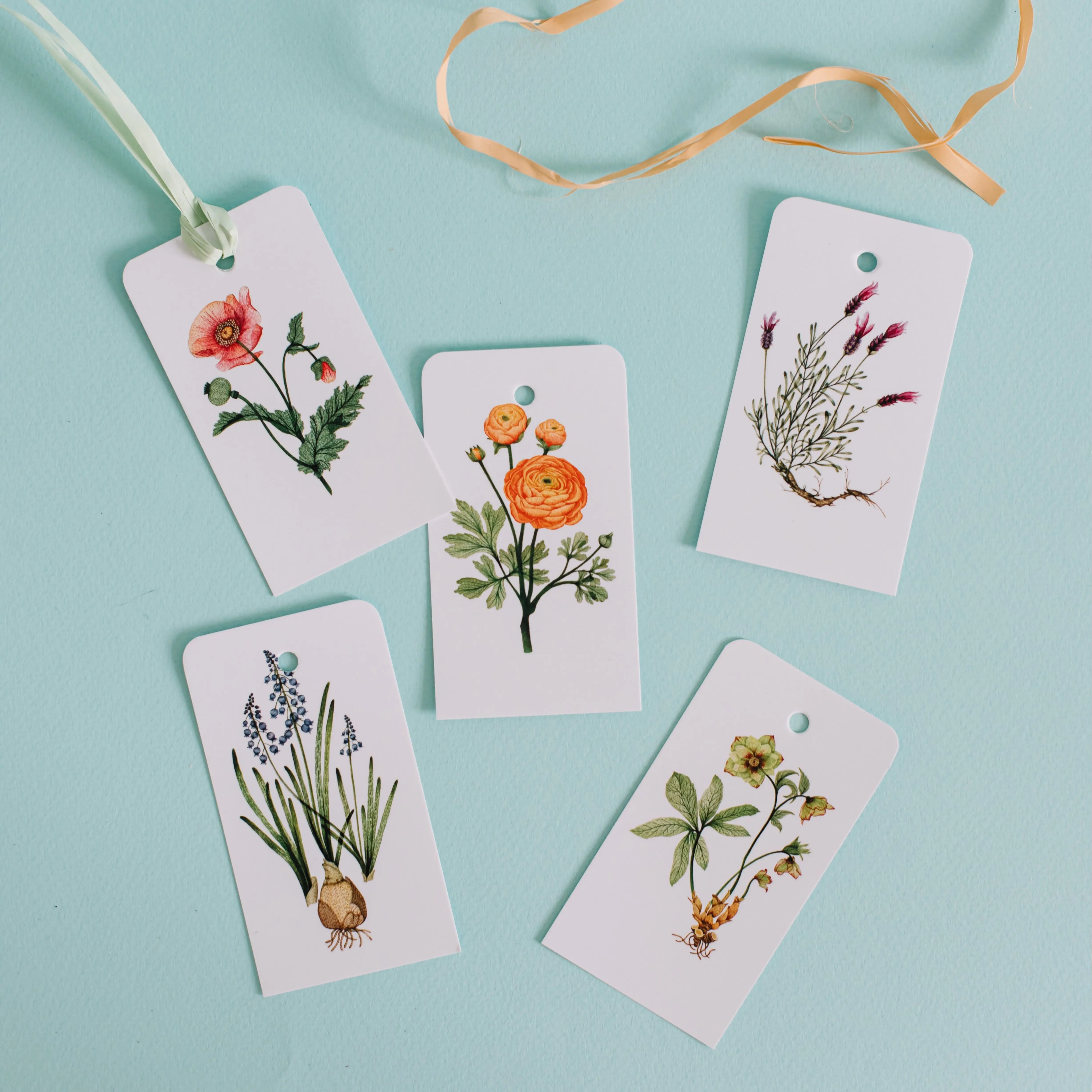 Сет из бирок &quotПоле&quot 40 шт 5х9 | Дом и сад