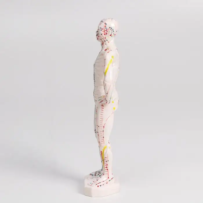 Модель для акупунктуры мужчина 26 см |