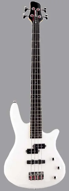 Cbb-10-pw bass guitar Clevan | Спорт и развлечения